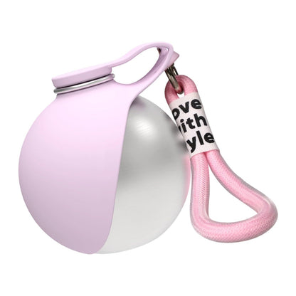 Foldable Stainless Steel Carabiner Pet Water Bottle