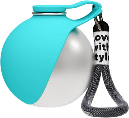 Foldable Stainless Steel Carabiner Pet Water Bottle